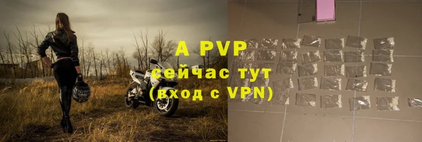 крисы Магас