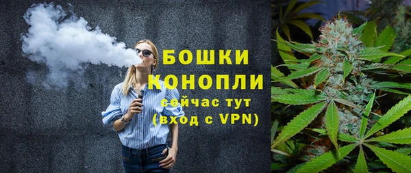 крисы Магас