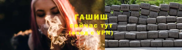 крисы Магас