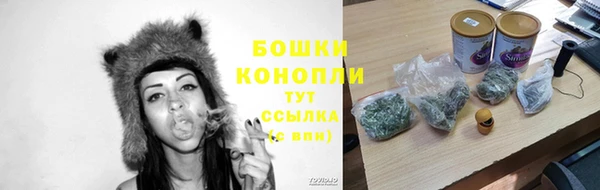 крисы Магас