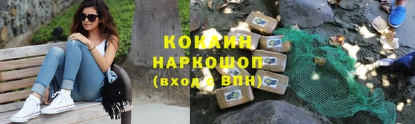крисы Магас