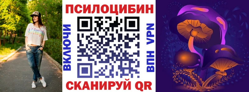 купить закладку  Новомичуринск  Псилоцибиновые грибы GOLDEN TEACHER 