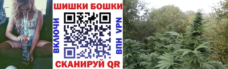 купить наркоту Новомичуринск Марихуана VHQ